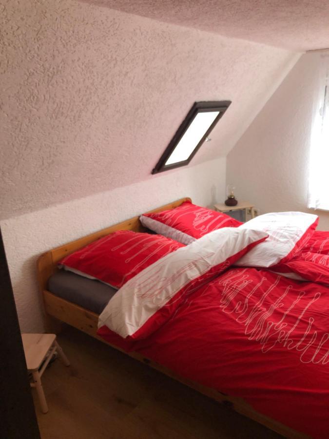 Ferienhaus Zentral & Gruen 라이프치히 외부 사진